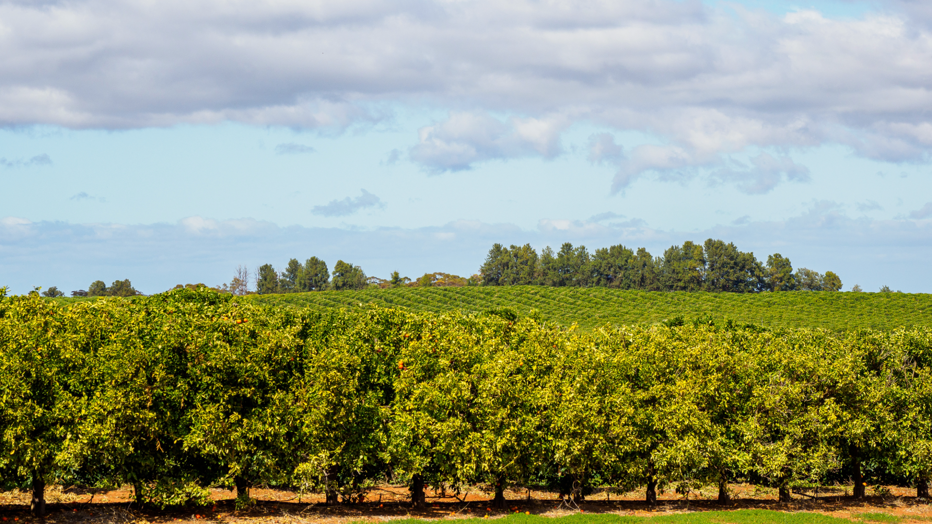 Orange NSW - THE BANK ON BANK